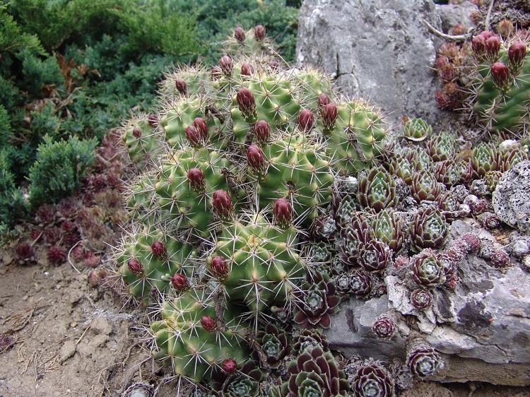 image001