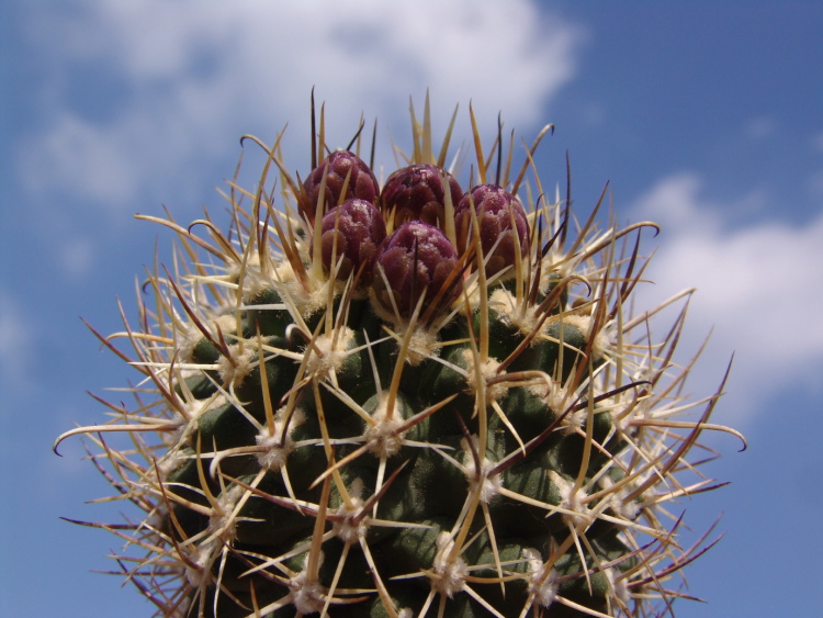 image001