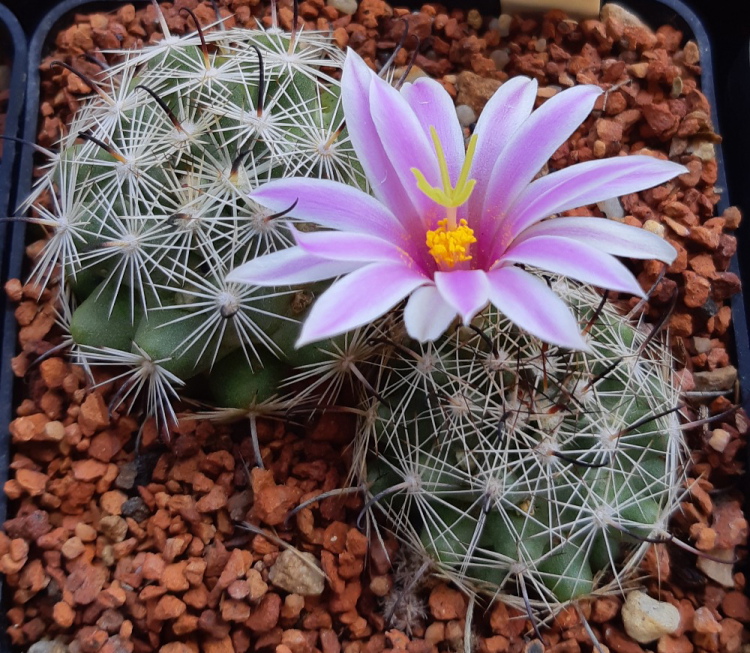 20190609 164656m