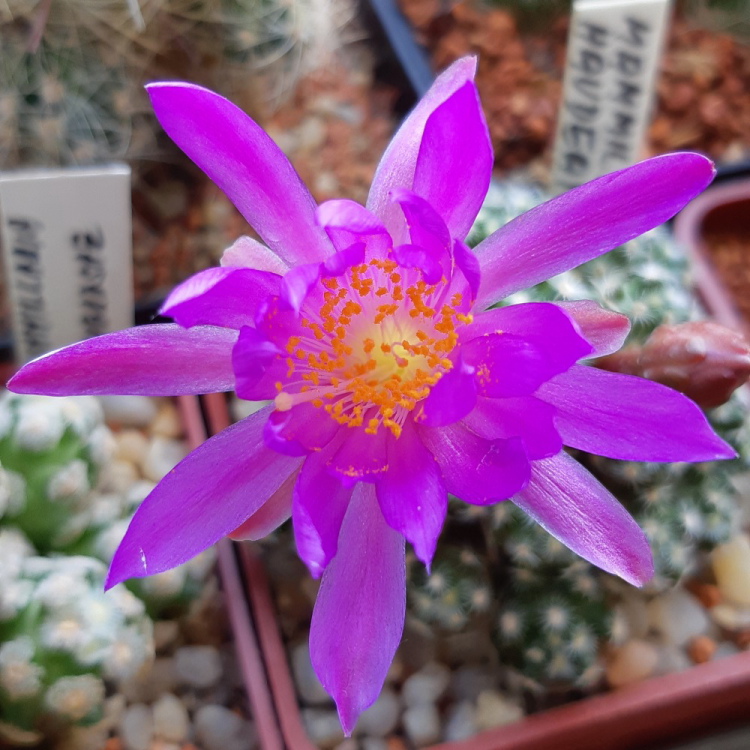 20190609 164733m