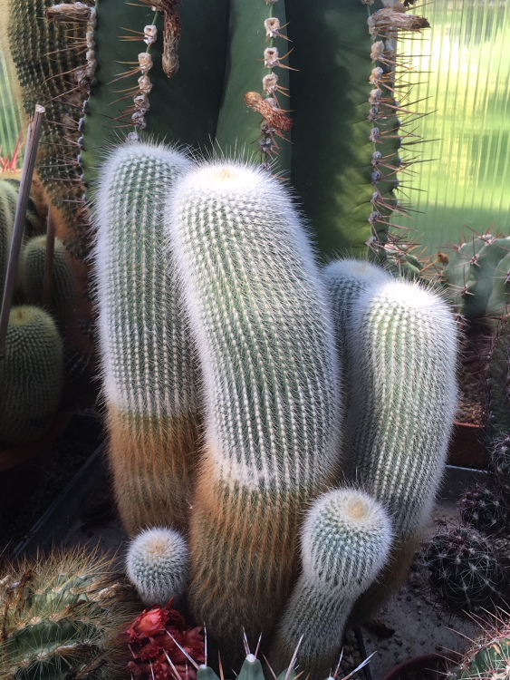 IMG 1586m