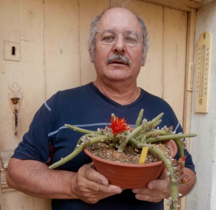 PASCAL FEMENIAm