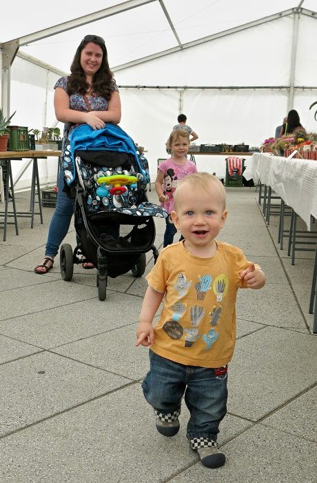 IMG 3376