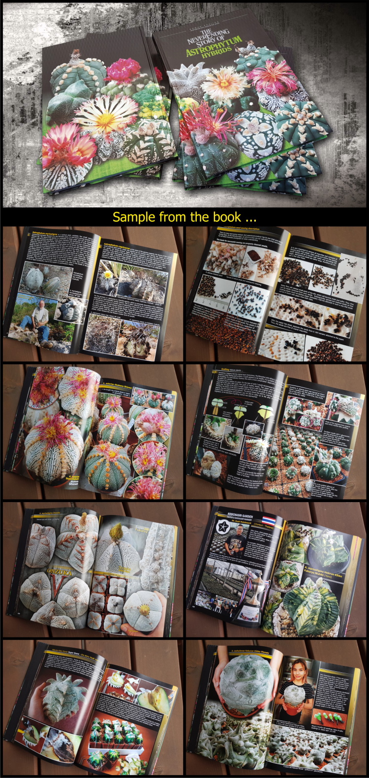 book bo03 angl m