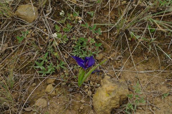 image024