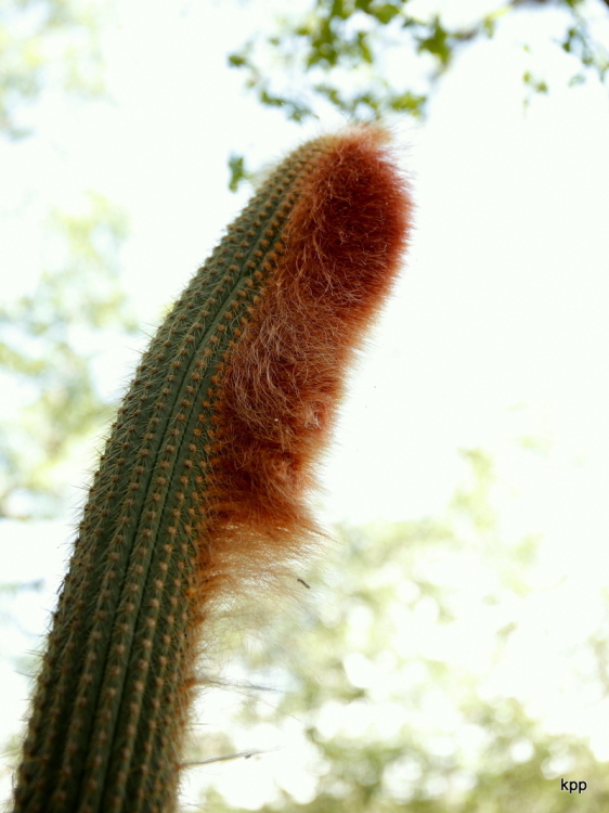 004 m