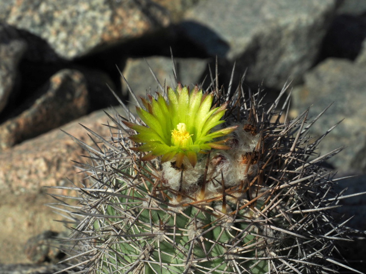 image003 m