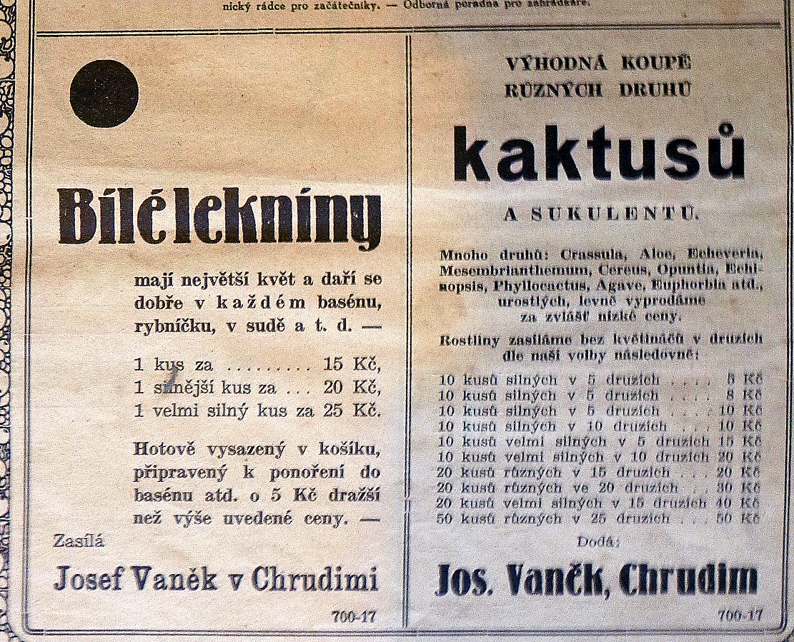 Reklama Vank Chrudim 2