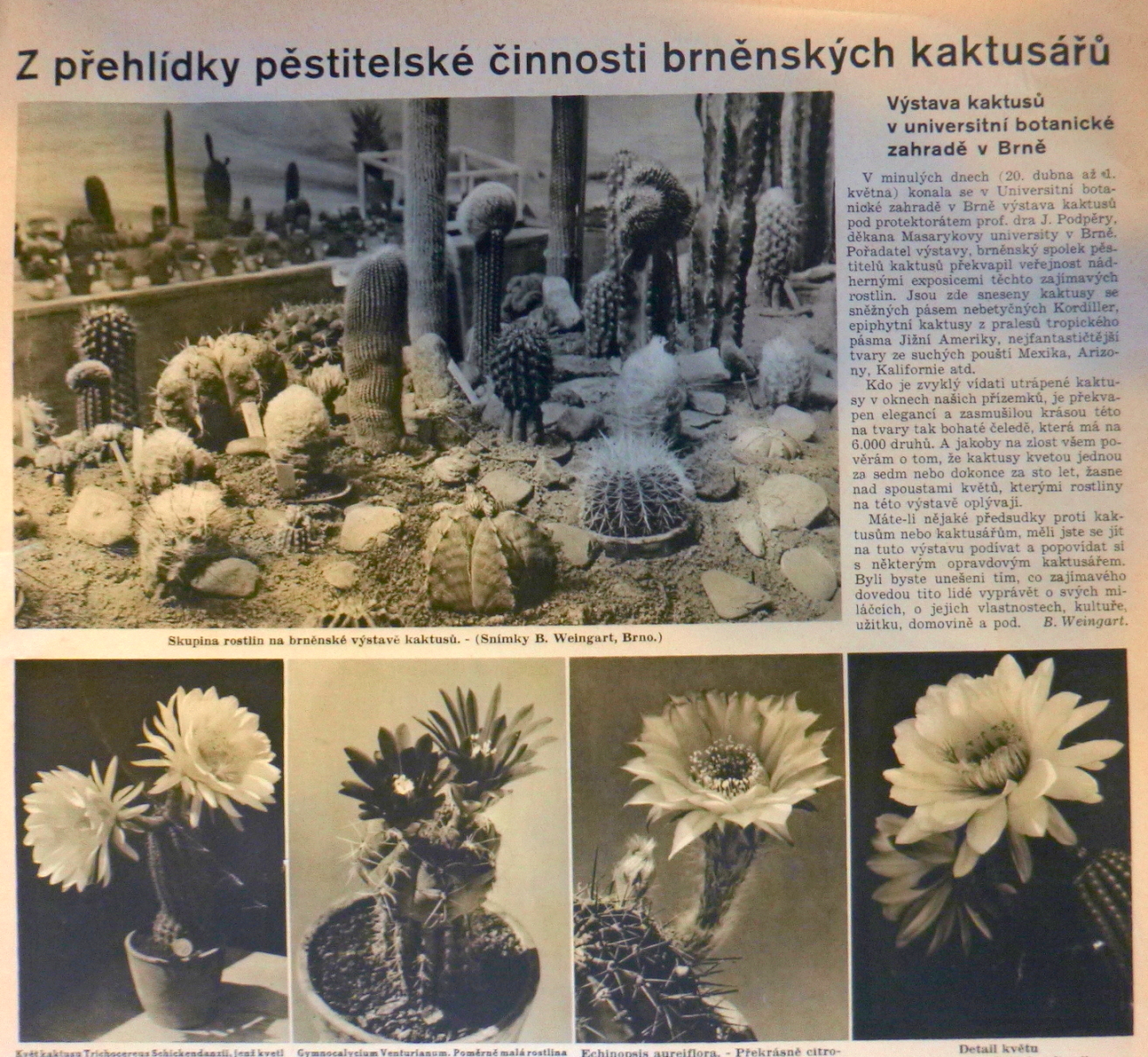 Vstava KaS v Brn