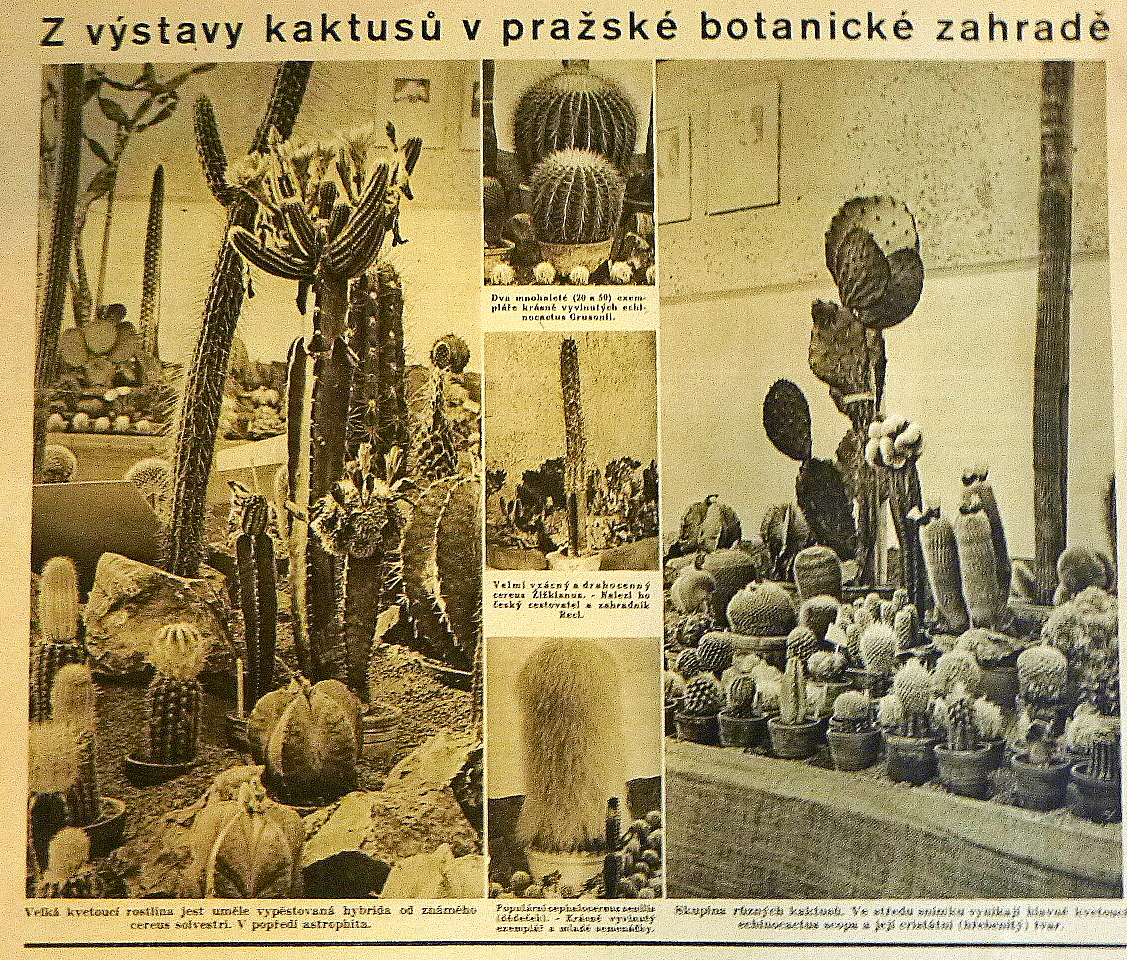 Vstava KaS v Praze 2