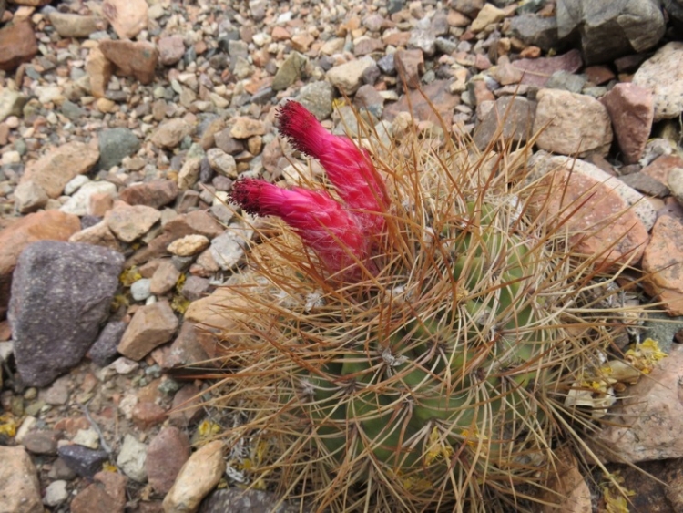 image021 750