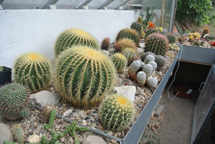 DSC 7042 750