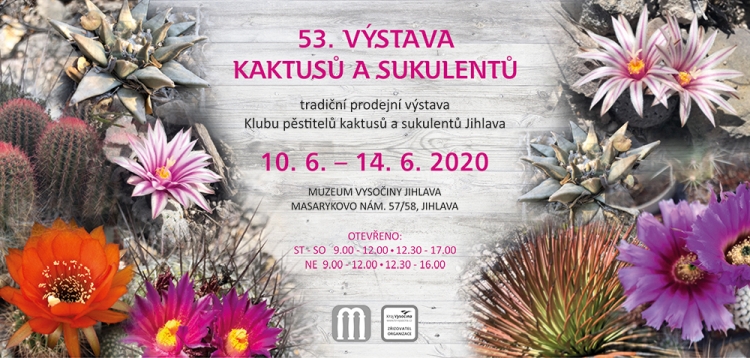 KAKTUSY SUKULENTY poz2