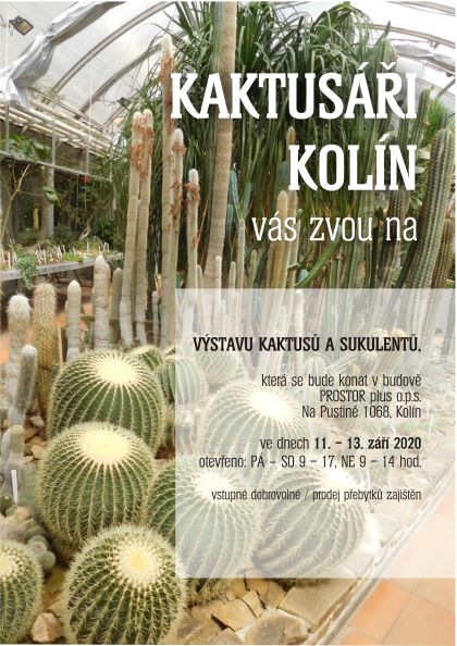 Kaktusari plakatmaly