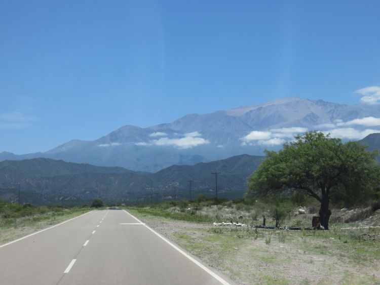 IMG 6385 750
