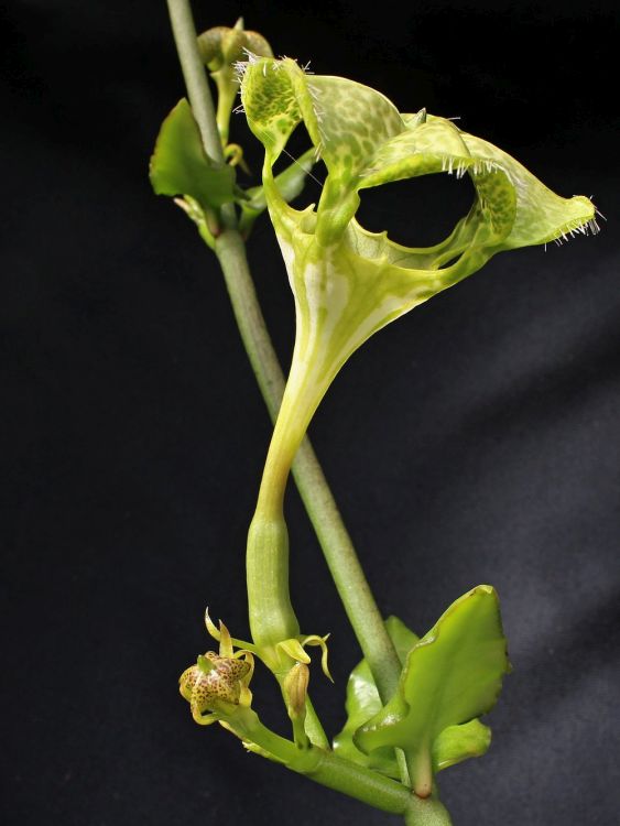 image011 750