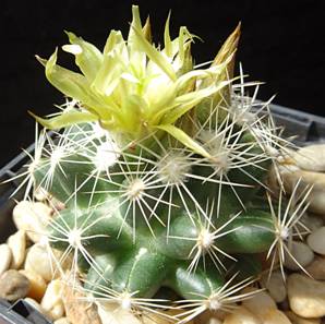 image026