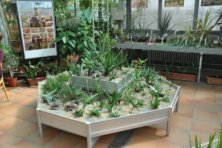 DSC 0082 750