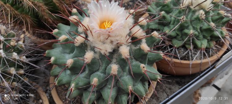 image001 750