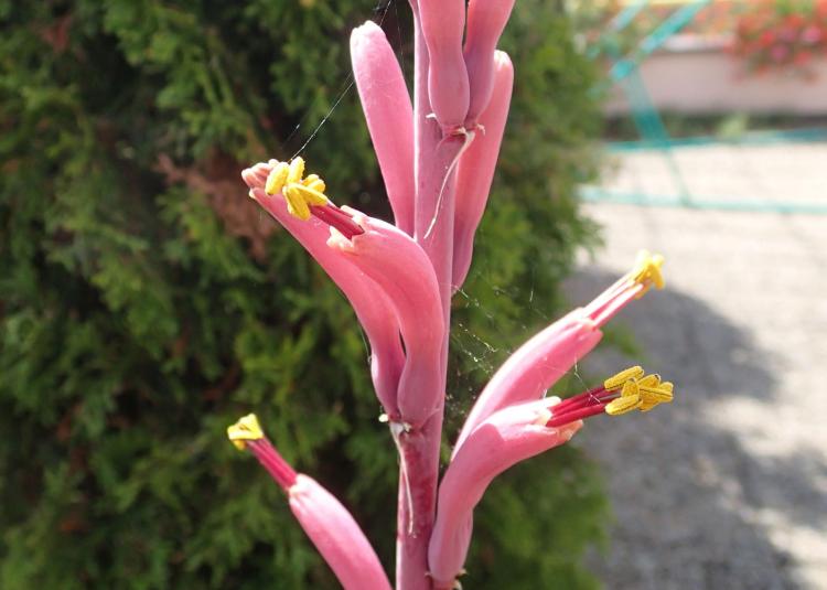 image5