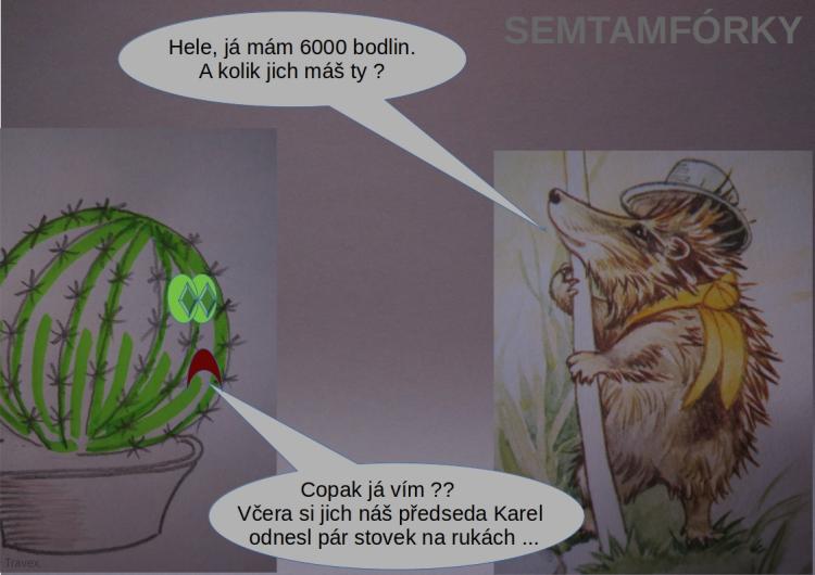 semtamfórky - leden 2022