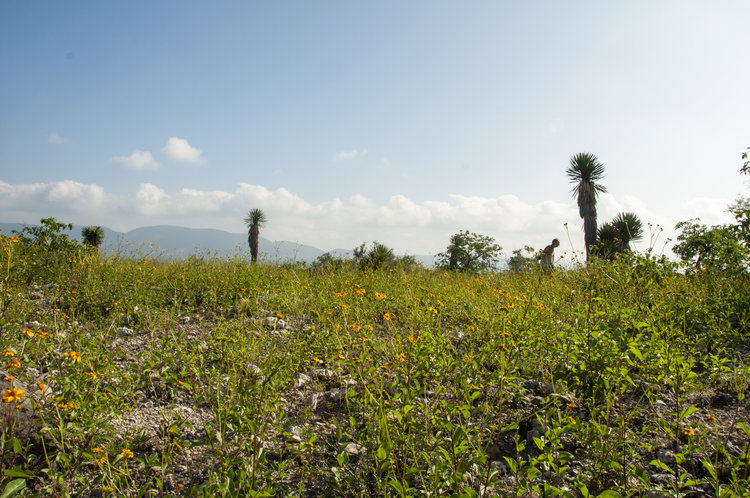 lokalita_1_RioVerde