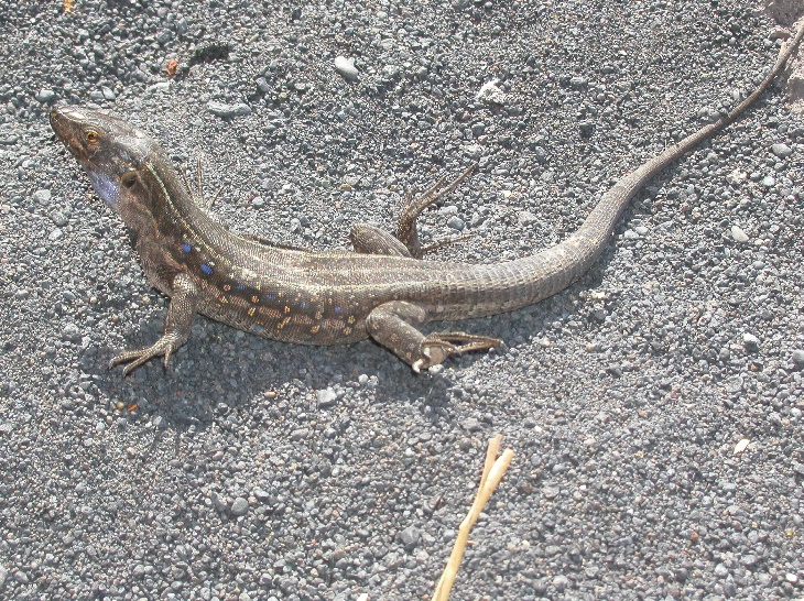 image15