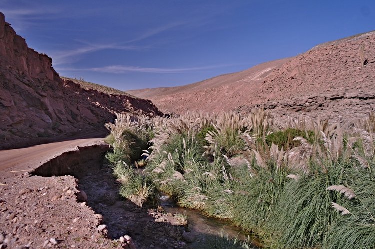 bolivie-a-chile-11-011