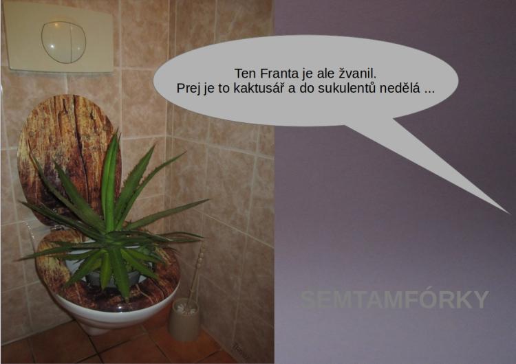 semtamfórky - duben 2022