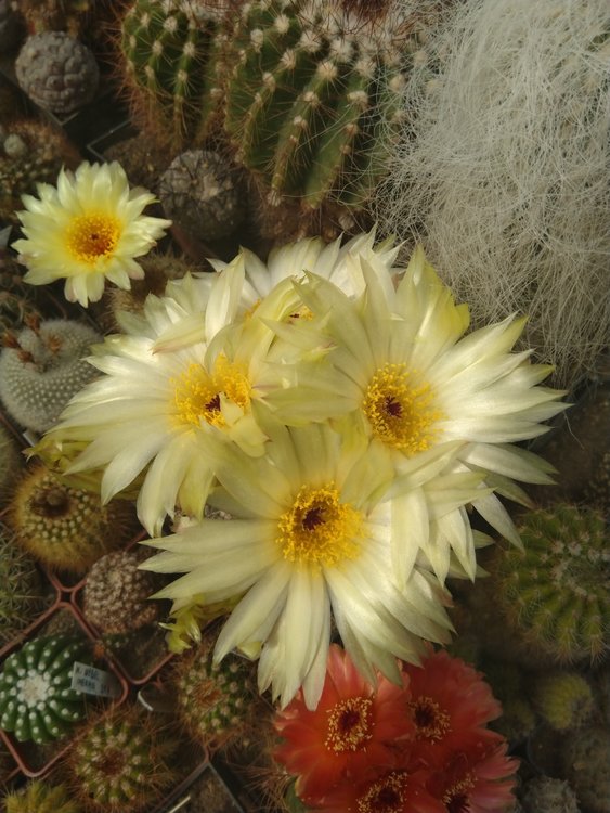 08