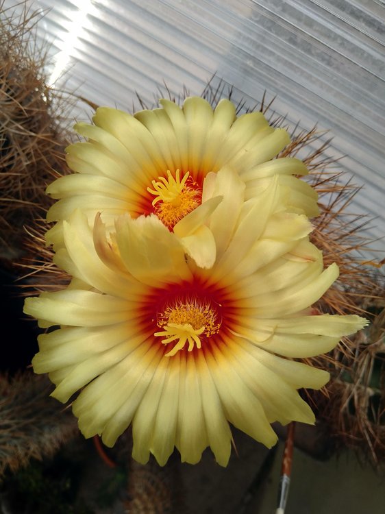 08