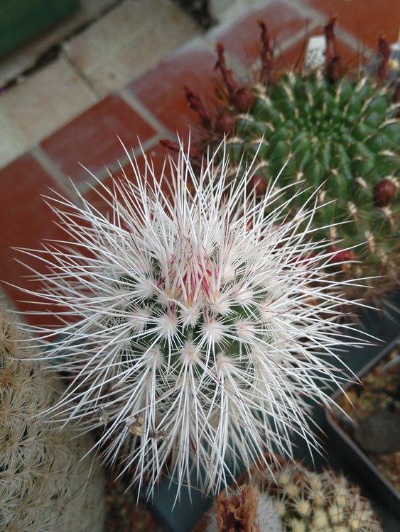 09