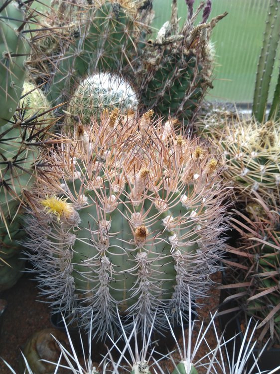 04