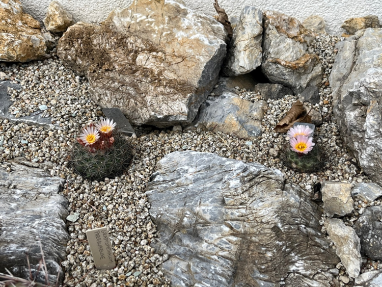 image10