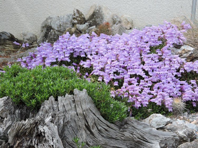 image12