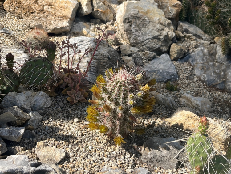 image3