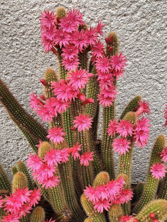image14