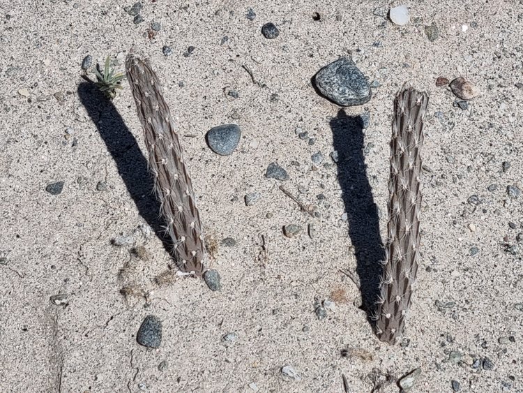 image15