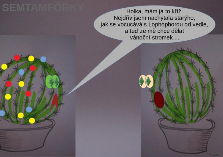 semtamfórky - prosinec 2022