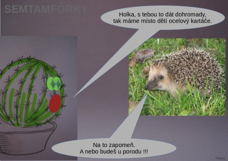 semtamfórky - květen 2023