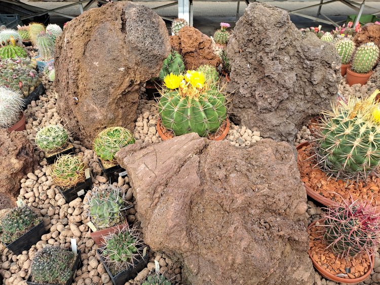 11a