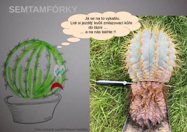 semtamfórky - prázdniny 2023