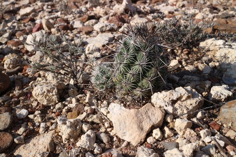 image30