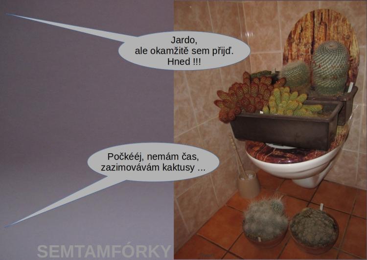 semtamfórky - listopad 2023