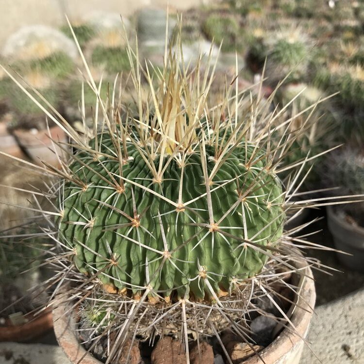 02