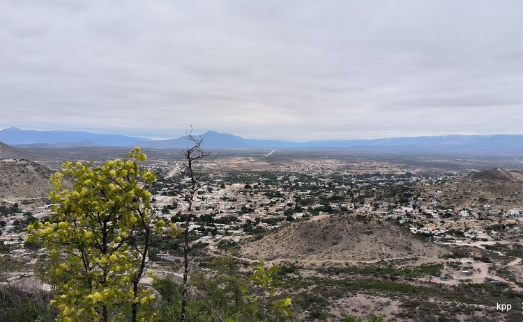image1