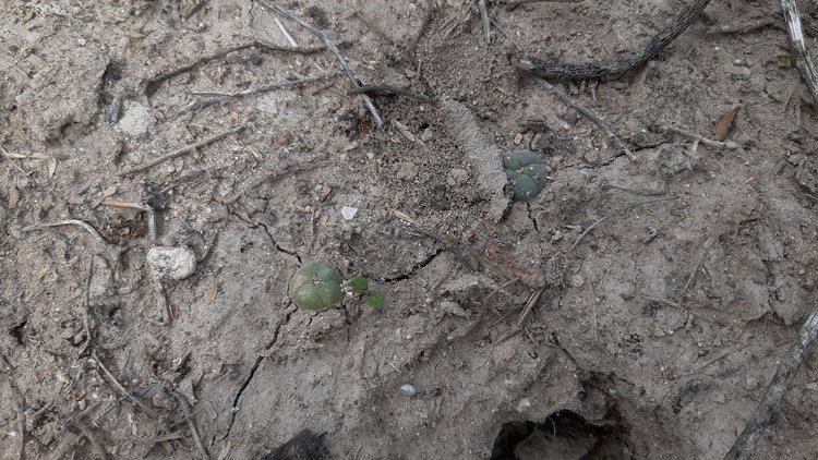 image49