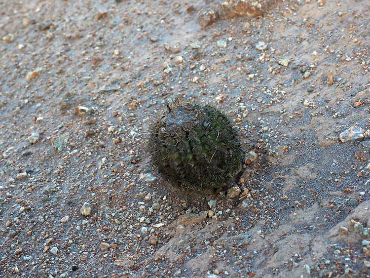 image56