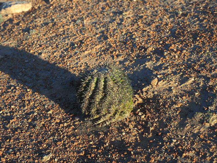 image57