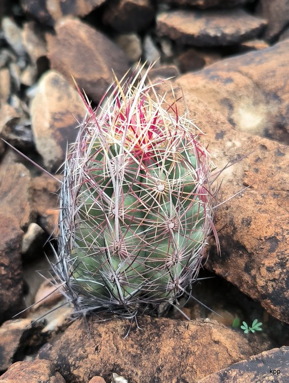 image9